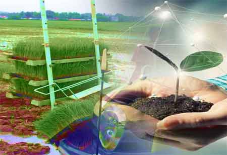 Distributed electricity generation's environmental impact